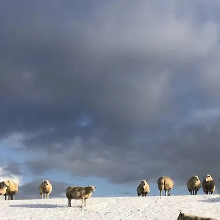 Tief 10 Strandkieker Meerblick 1102