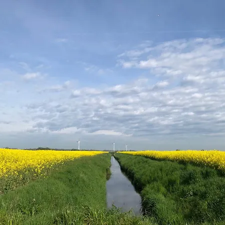 Tief 10 Strandkieker Meerblick 1102 *