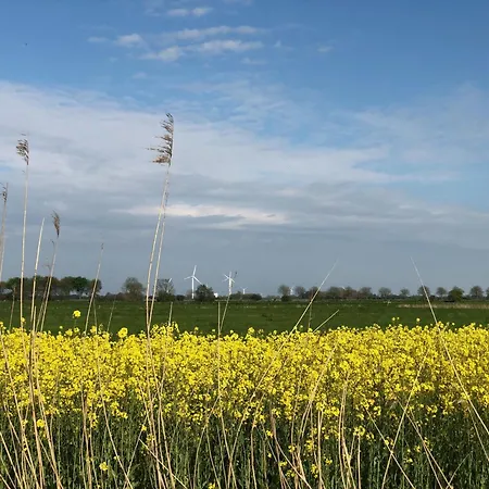 Tief 10 Strandkieker Meerblick 1102 * Schillig