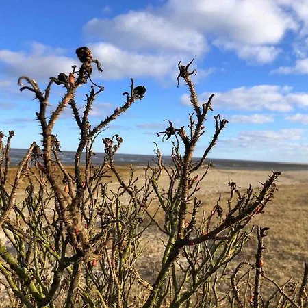 Tief 10 Strandkieker Meerblick 1102 * Schillig