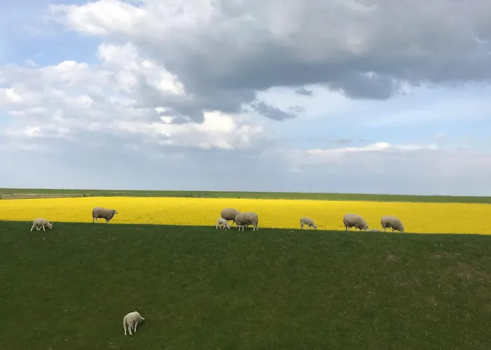 Tief 10 Strandkieker Meerblick 1102 Schillig