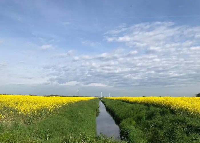 Tief 10 Strandkieker Meerblick 1102 *