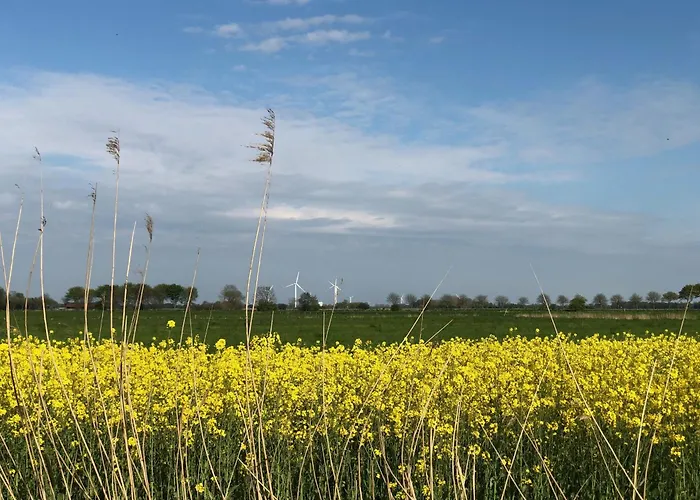 Tief 10 Strandkieker Meerblick 1102 * Schillig
