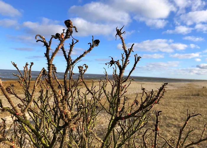 Tief 10 Strandkieker Meerblick 1102 * Schillig